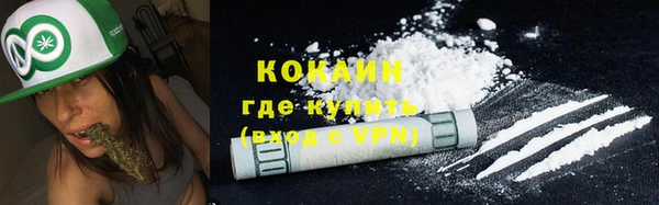 ГАЛЛЮЦИНОГЕННЫЕ ГРИБЫ Коряжма