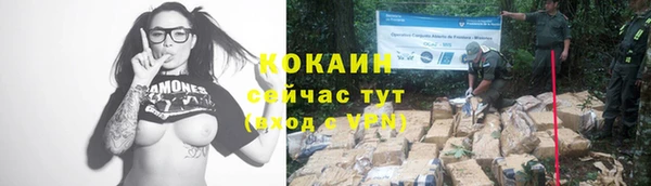 ГАЛЛЮЦИНОГЕННЫЕ ГРИБЫ Коряжма
