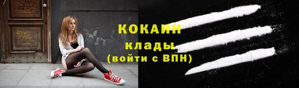 2c-b Краснослободск