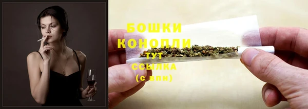 ГАЛЛЮЦИНОГЕННЫЕ ГРИБЫ Коряжма