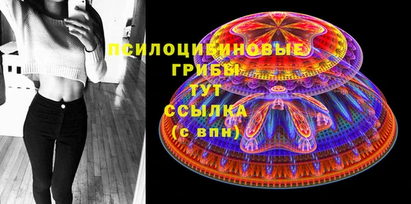 2c-b Краснослободск