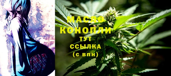 2c-b Краснослободск