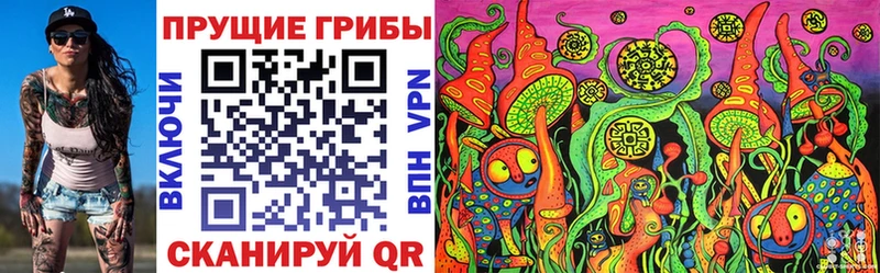 Псилоцибиновые грибы Psilocybine cubensis  Урень 