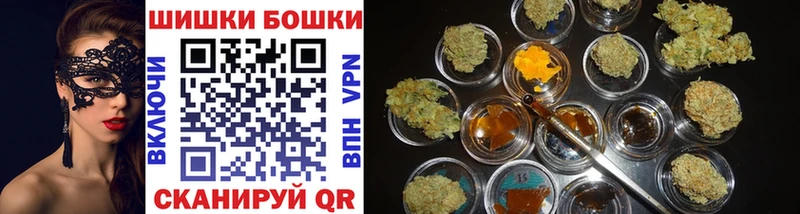 Канабис OG Kush Урень